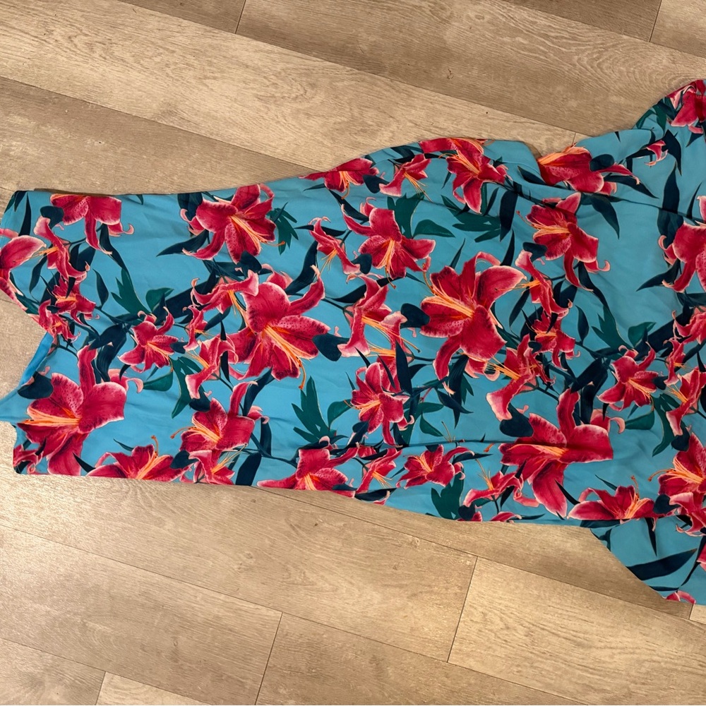 Show me your Mumu Bright Blue Floral Maxi Dress with Pink Red Lilies